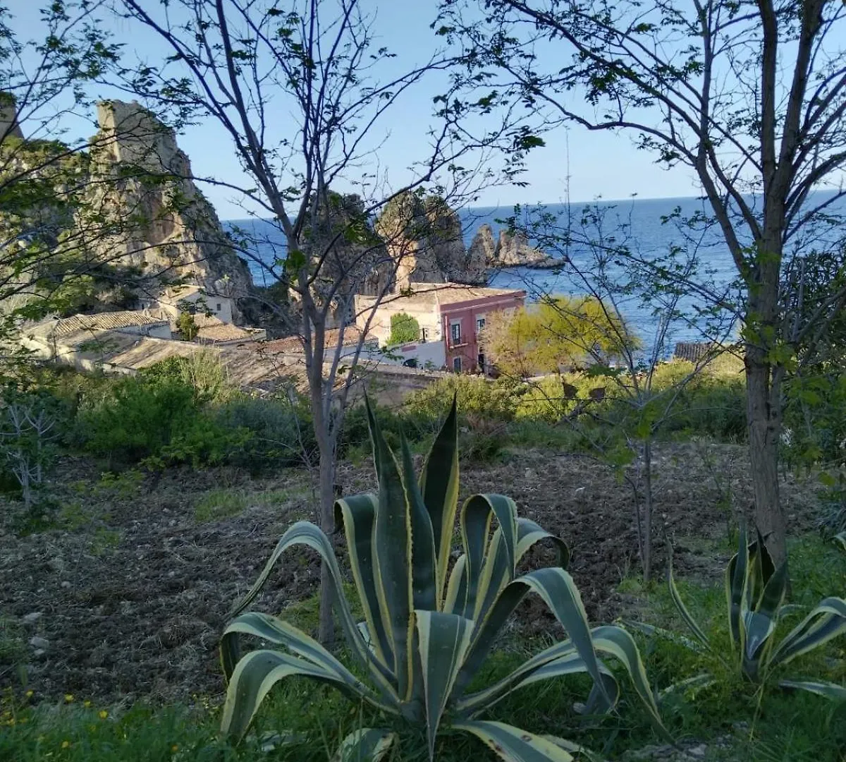 Macchia Mediterranea Castellammare del Golfo Italie